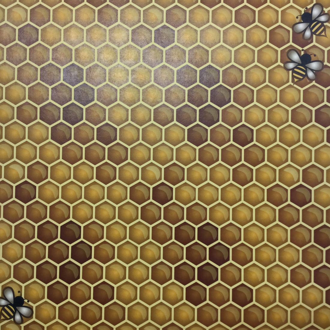 HONEY &amp; BEES 12&quot;X12&quot; Scrapbook Paper Scrapbooksrus 
