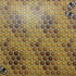 HONEY & BEES 12"X12" Scrapbook Paper Scrapbooksrus 