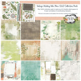 49 and Market Vintage Artistry HIKE MORE 12x12 Collection Paper Pack Scrapbooksrus 