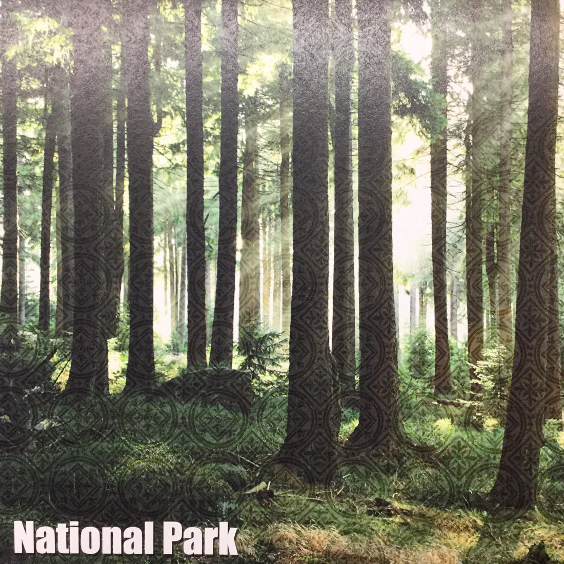 FOREST National Park 12&quot;X12&quot; Paper Scrapbooksrus 
