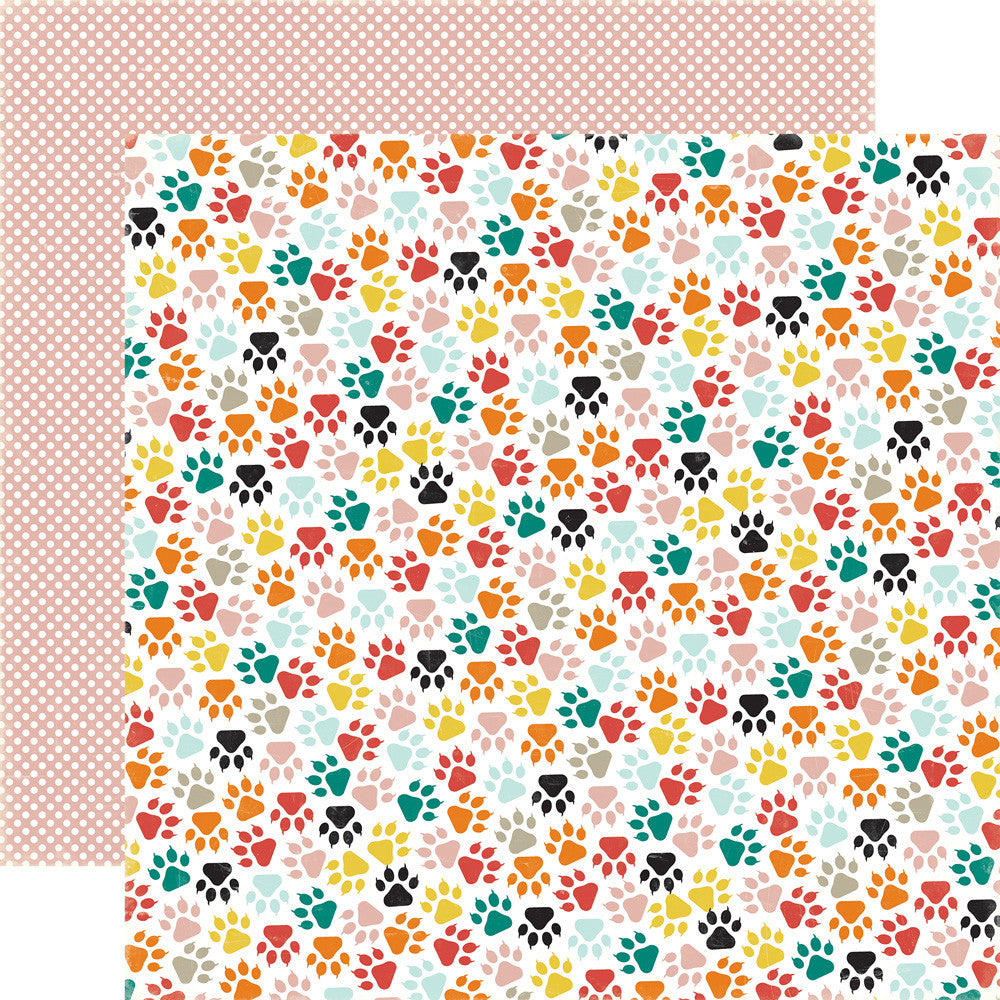 Echo Park Meow KITTY PAWS 12x12 Scrapbook Paper