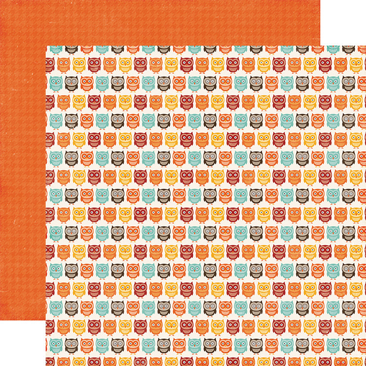 Echo Park A Perfect Autumn OWL FRIENDS 12x12 Scrapbook Paper