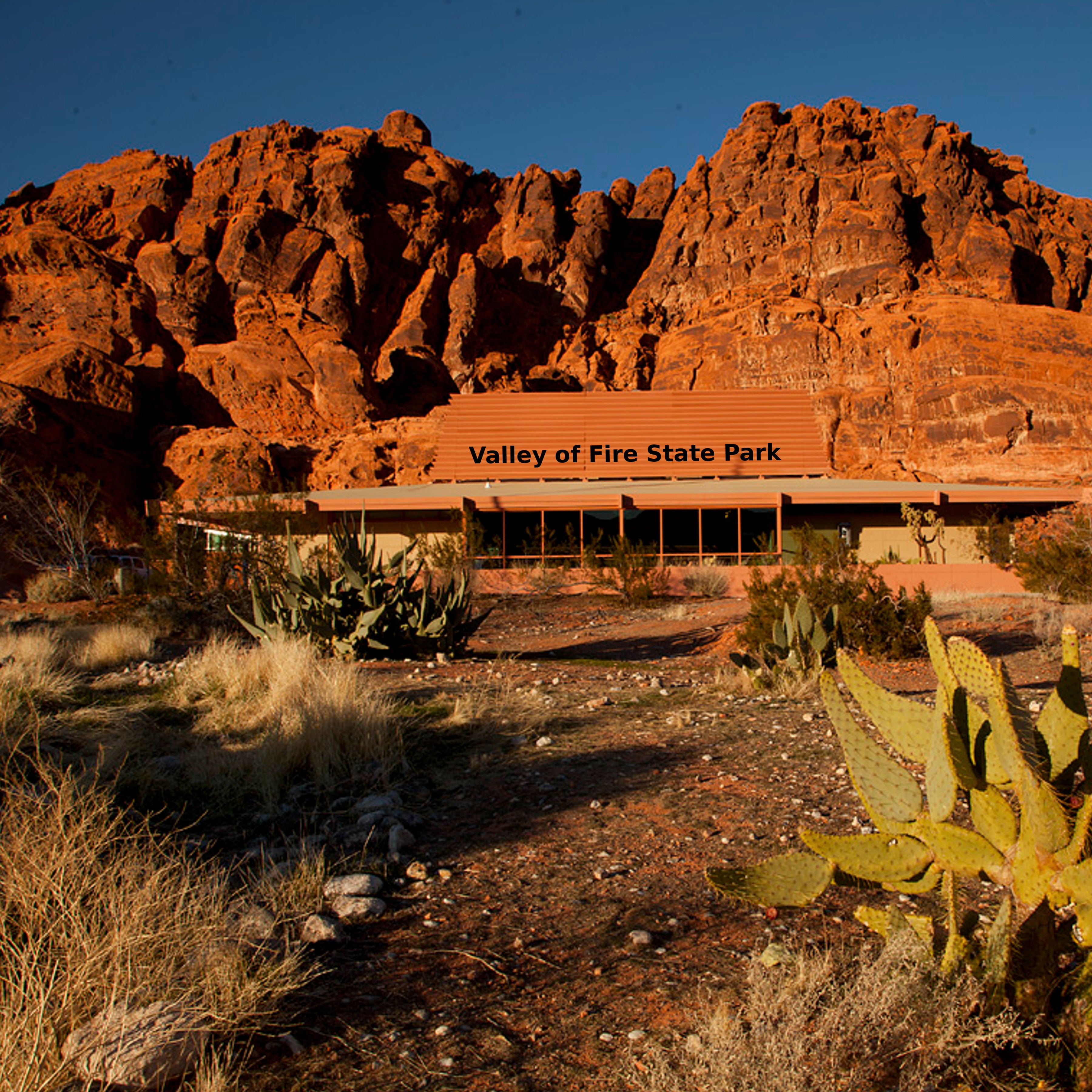 VALLEY OF FIRE STATE PARK Cardstock 12&quot;x12&quot; Paper