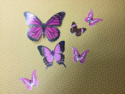 Forever in Time BUTTERFLY Dic Cuts 33pc