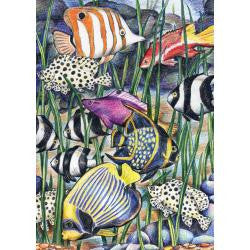 Royal Mini Color Pencil By Number TROPICAL UNDERWATER LIFE