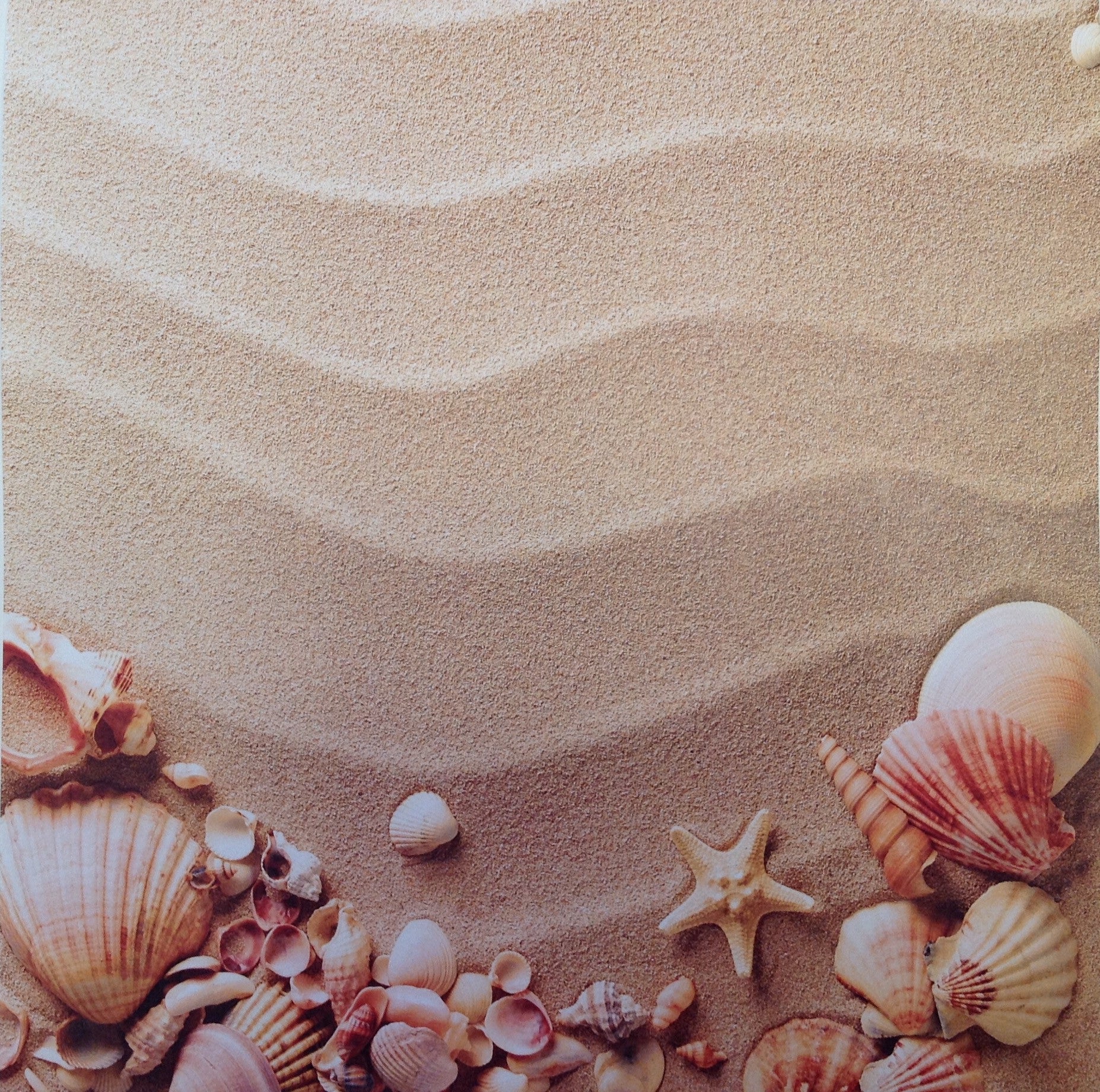 Scrapbook Customs SEA SHELLS &amp; SAND 12&quot;X12&quot; Paper