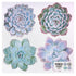 American Crafts SUCCULENT Die-Cut Cardstock 4 pc. Scrapbooksrus