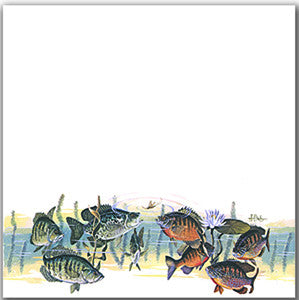 Papers Best LK201 PANFISH BONANZA 12&quot;X12&quot; Scrapbook Paper - Scrapbook Kyandyland