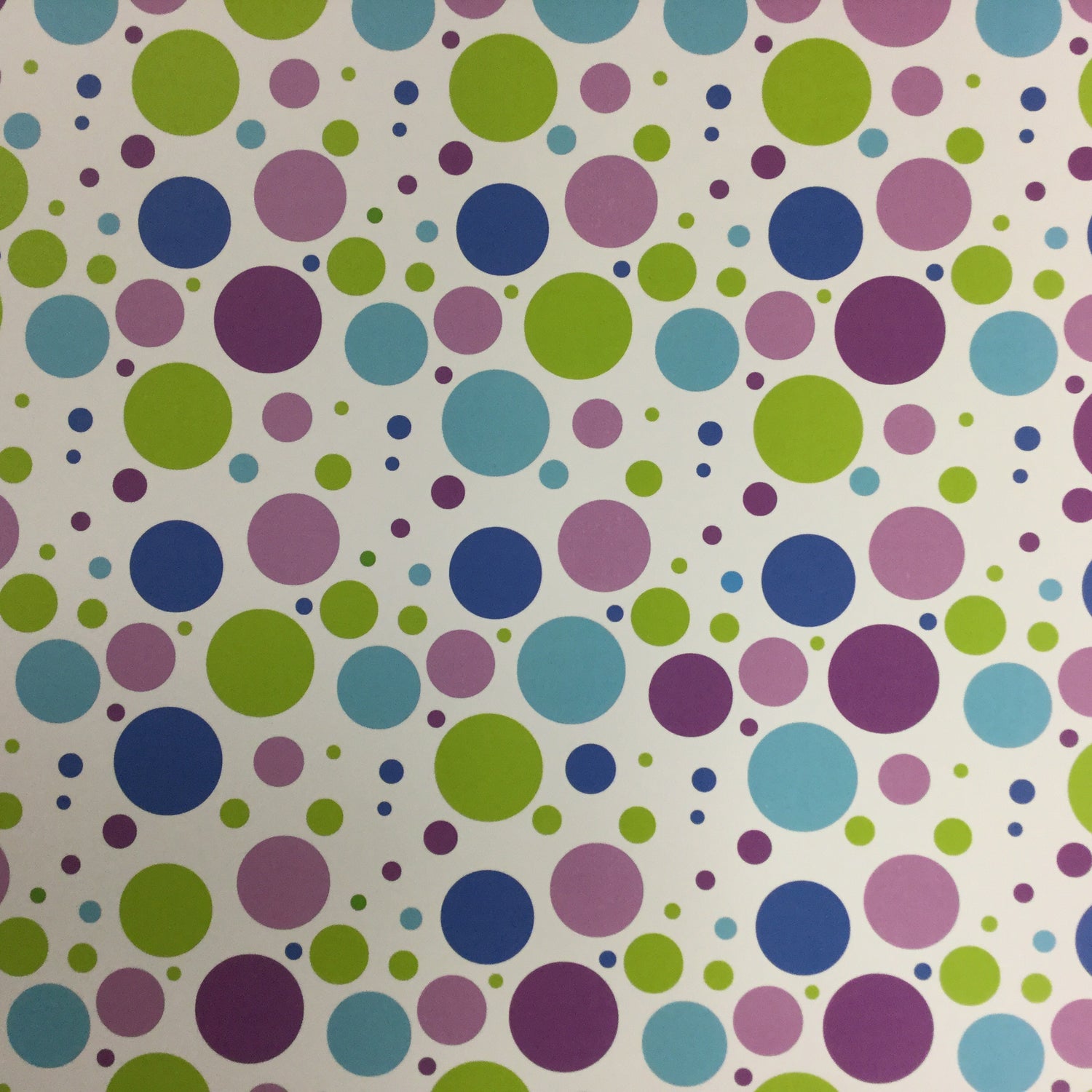 Monster LAS VEGAS Dots 12&quot;X12&quot; Scrapbook Paper 2 pcs. Scrapbooksrus