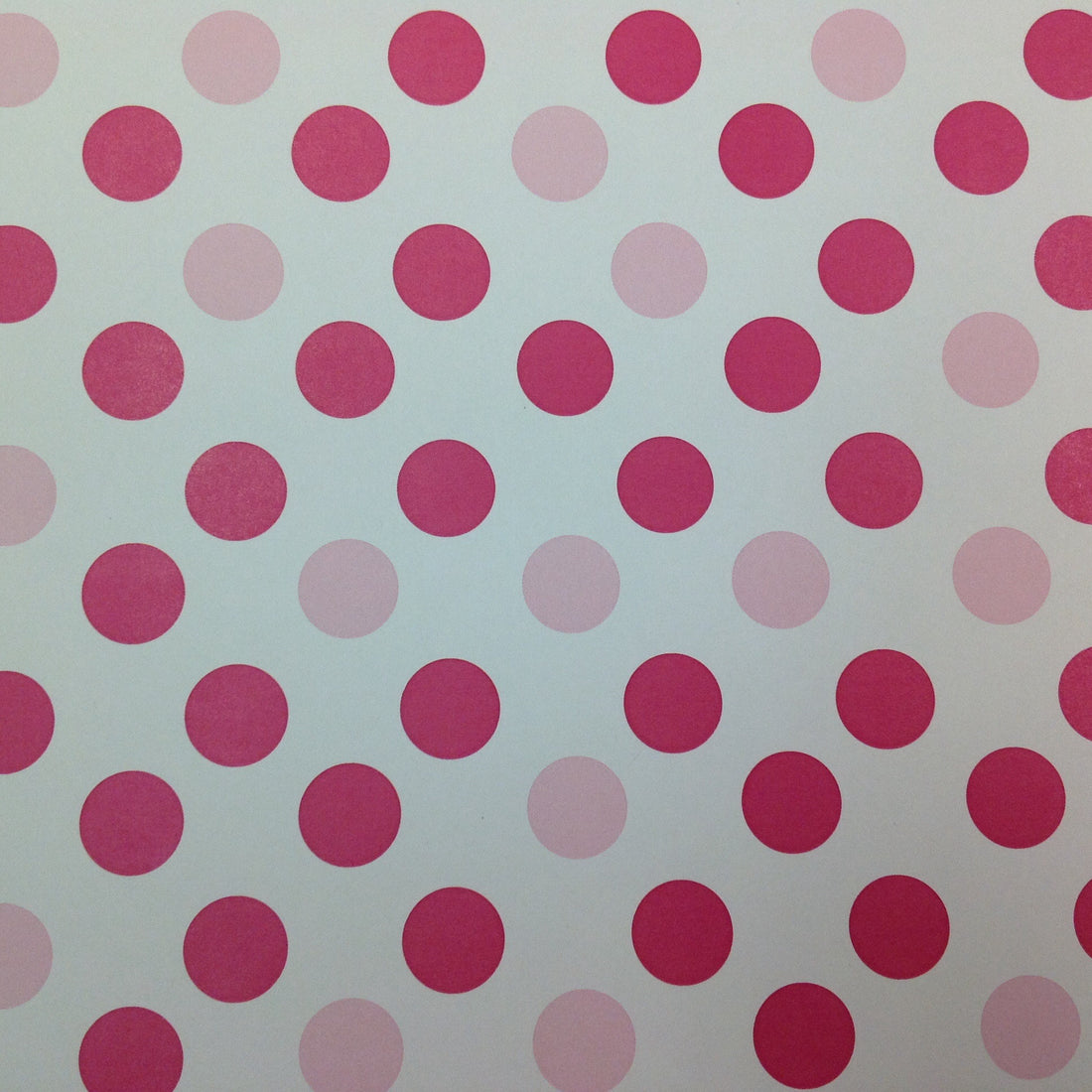 Scrapbook Customs PINK POLKA DOT 12x12 Scrapbook Paper 1 Sheet - Scrapbook Kyandyland