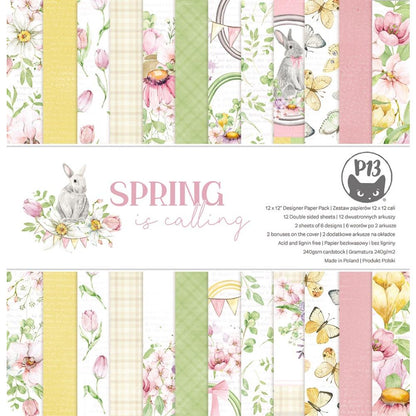 P13 SPRING IS CALLING 12&quot;X12&quot; Designer Paper Pack Pad Scrapbooksrus