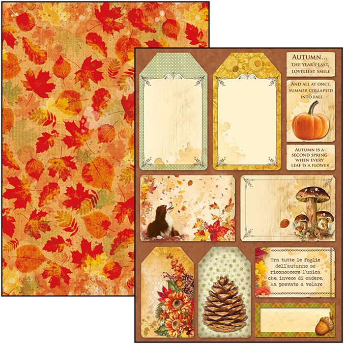 Ciao Bella THE SOUND OF AUTUMN A4 Paper Pad 9 sheets Scrapbooksrus