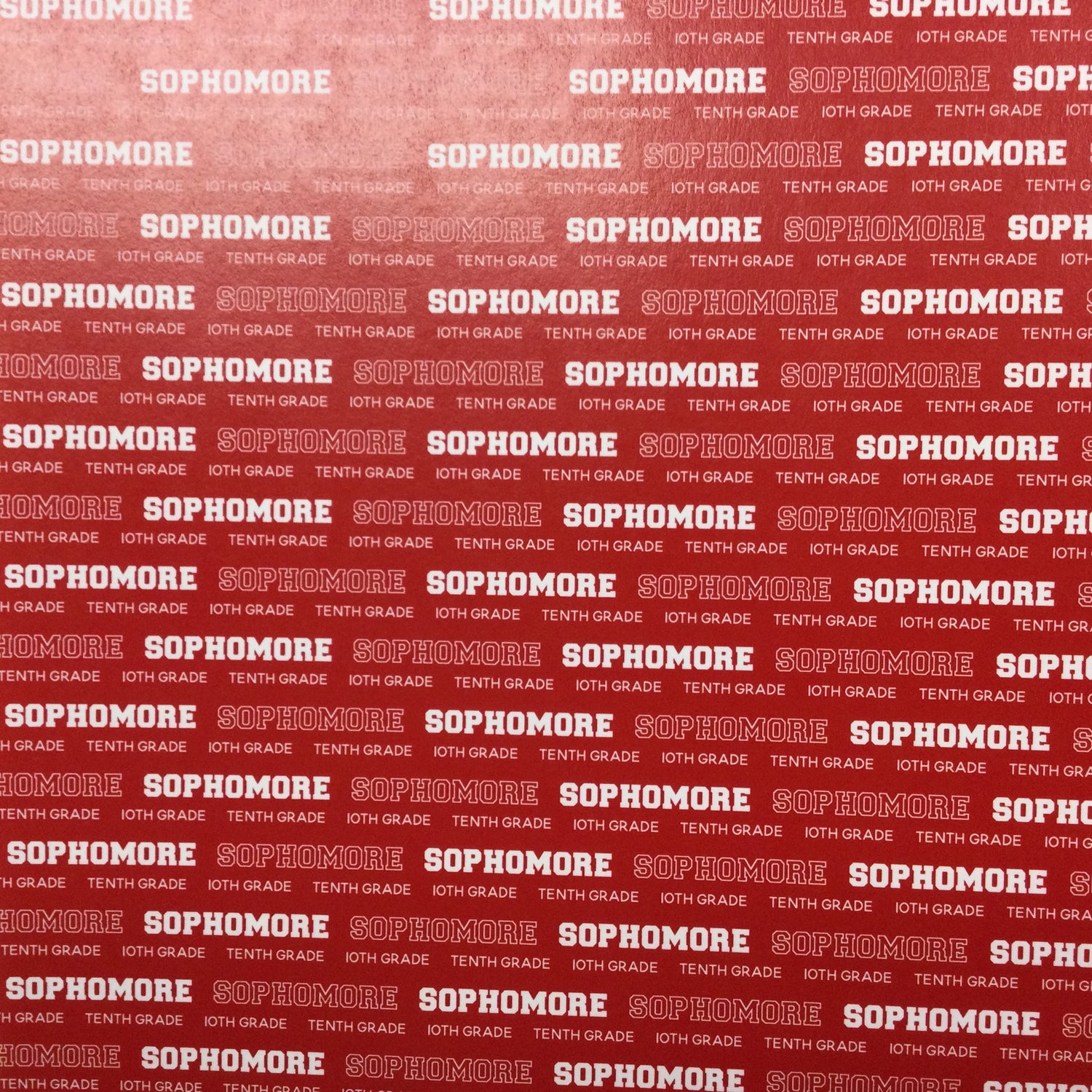 SOPHOMORE PRIDE Red School 12&quot;X12&quot; Scrapbook Paper Scrapbooksrus