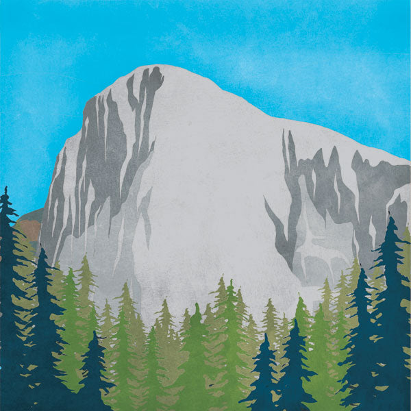 CALIFORNIA SEQUOIA 12"X12" Scrapbook Paper
