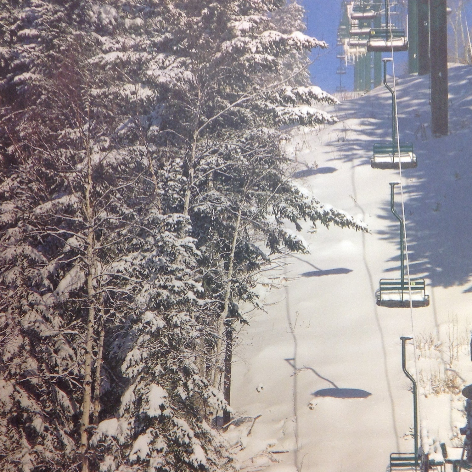 McRice Photo SKI LIFT  12&quot;X12&quot; Sheet - Scrapbook Kyandyland