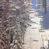 McRice Photo SKI LIFT  12"X12" Sheet - Scrapbook Kyandyland