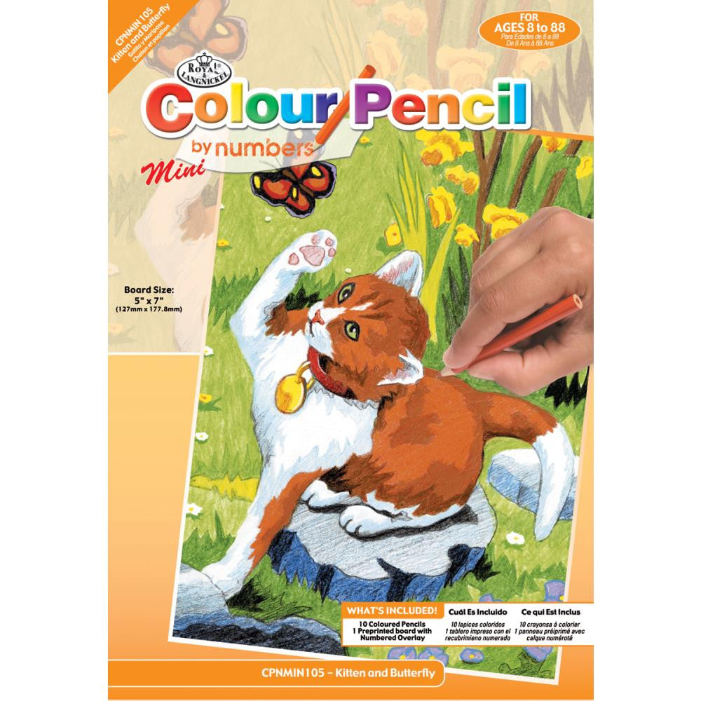 Royal Mini Color Pencil By Number JUNGLE TIGER