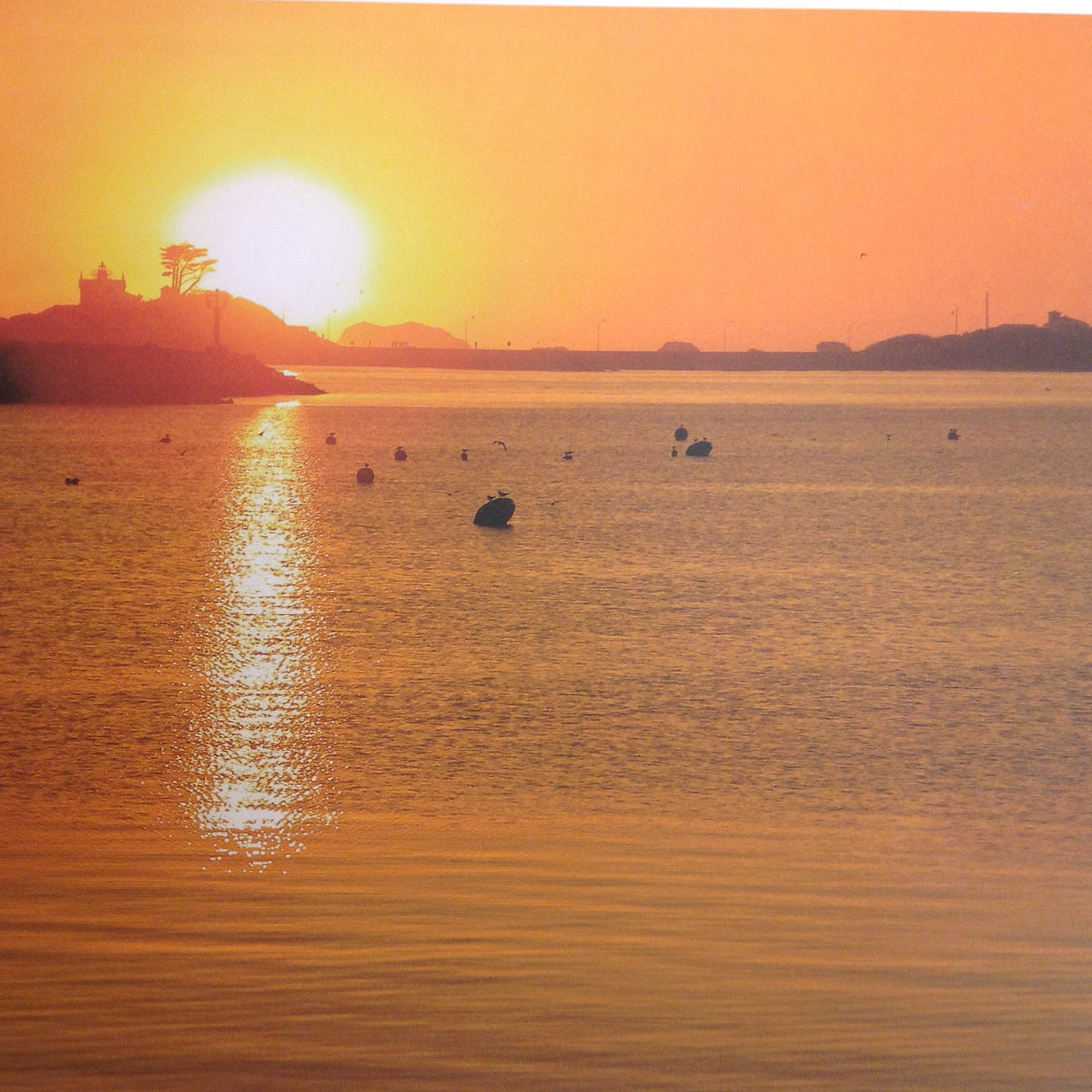 McRice Photo HARBOR SUNRISE 12"X12" Sheet - Scrapbook Kyandyland