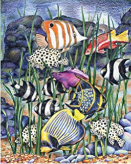 Royal Mini Color Pencil By Number TROPICAL UNDERWATER LIFE