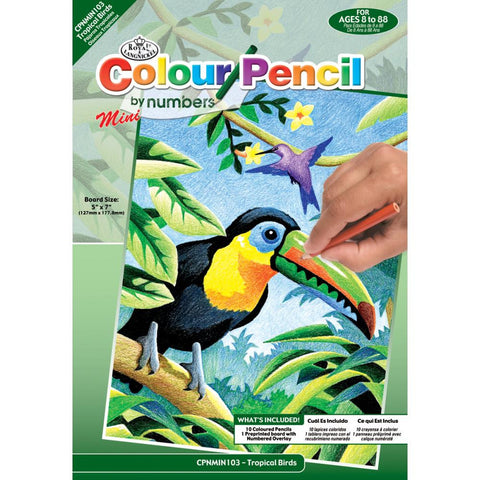 Royal Mini Color Pencil By Number TROPICAL BIRDS Parrot @scrapbooksrus