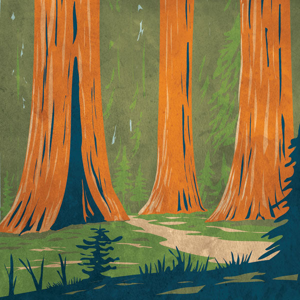 CALIFORNIA SEQUOIA 12&quot;X12&quot; Scrapbook Paper