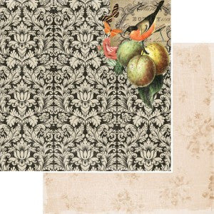 Kaisercraft CURIOSITY 12&quot;X12&quot; Scrapbook Paper - Scrapbook Kyandyland