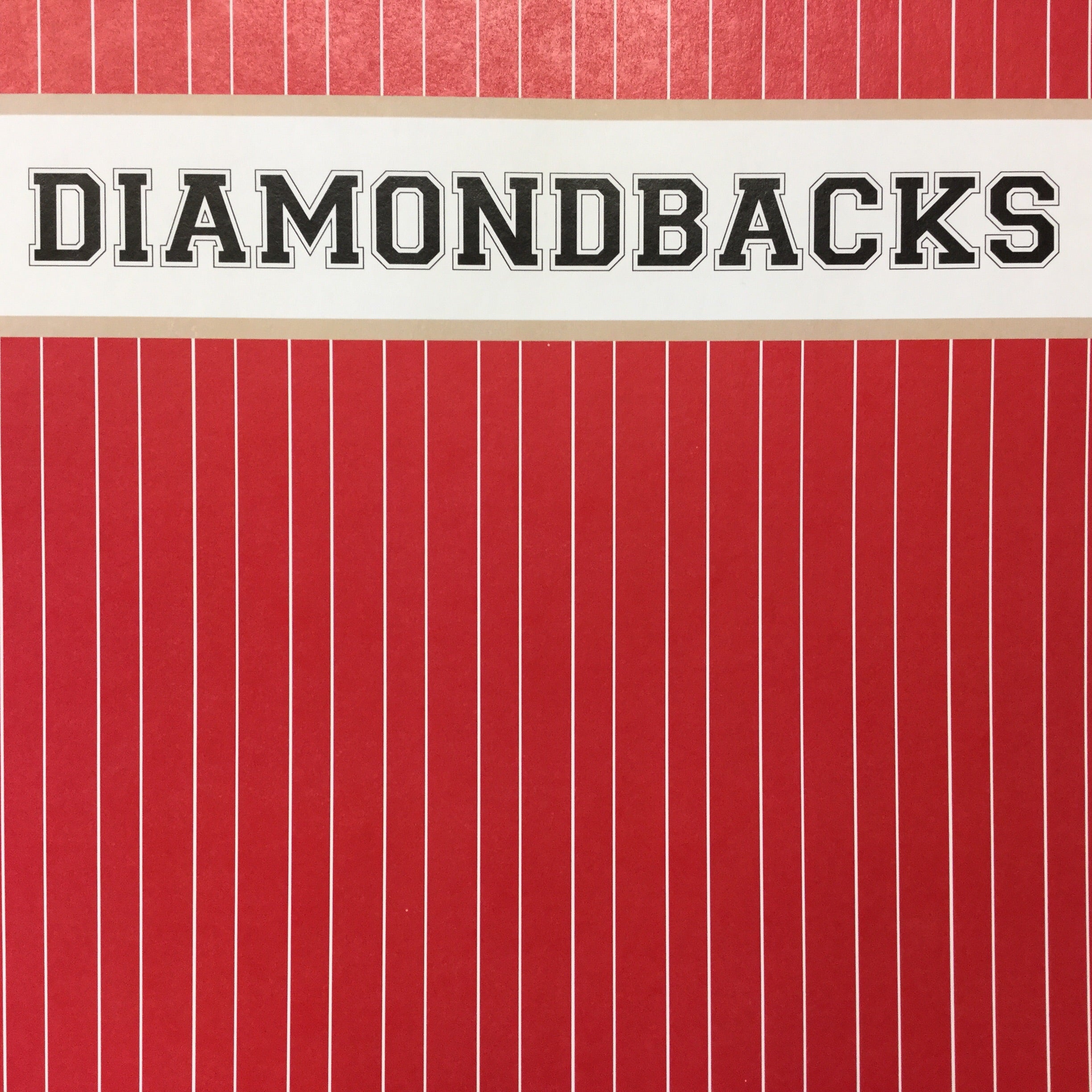 DIAMONDBACKS BASEBALL Pride Kit 12&quot;X12&quot; Scrapbook Paper