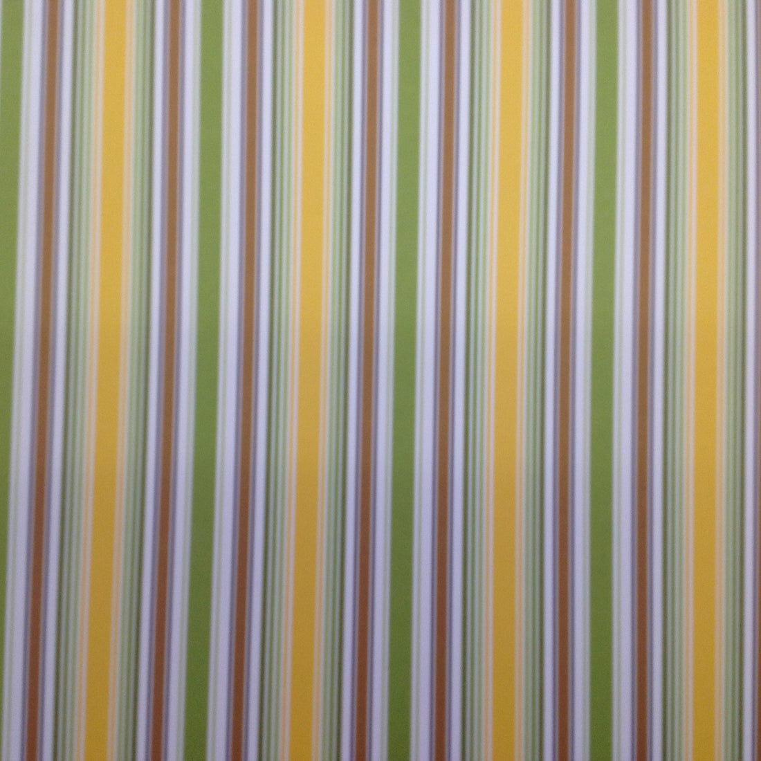 Queen &amp; Co WILD THINGS STRIPE 12x12 Scrapbook Paper - Scrapbook Kyandyland