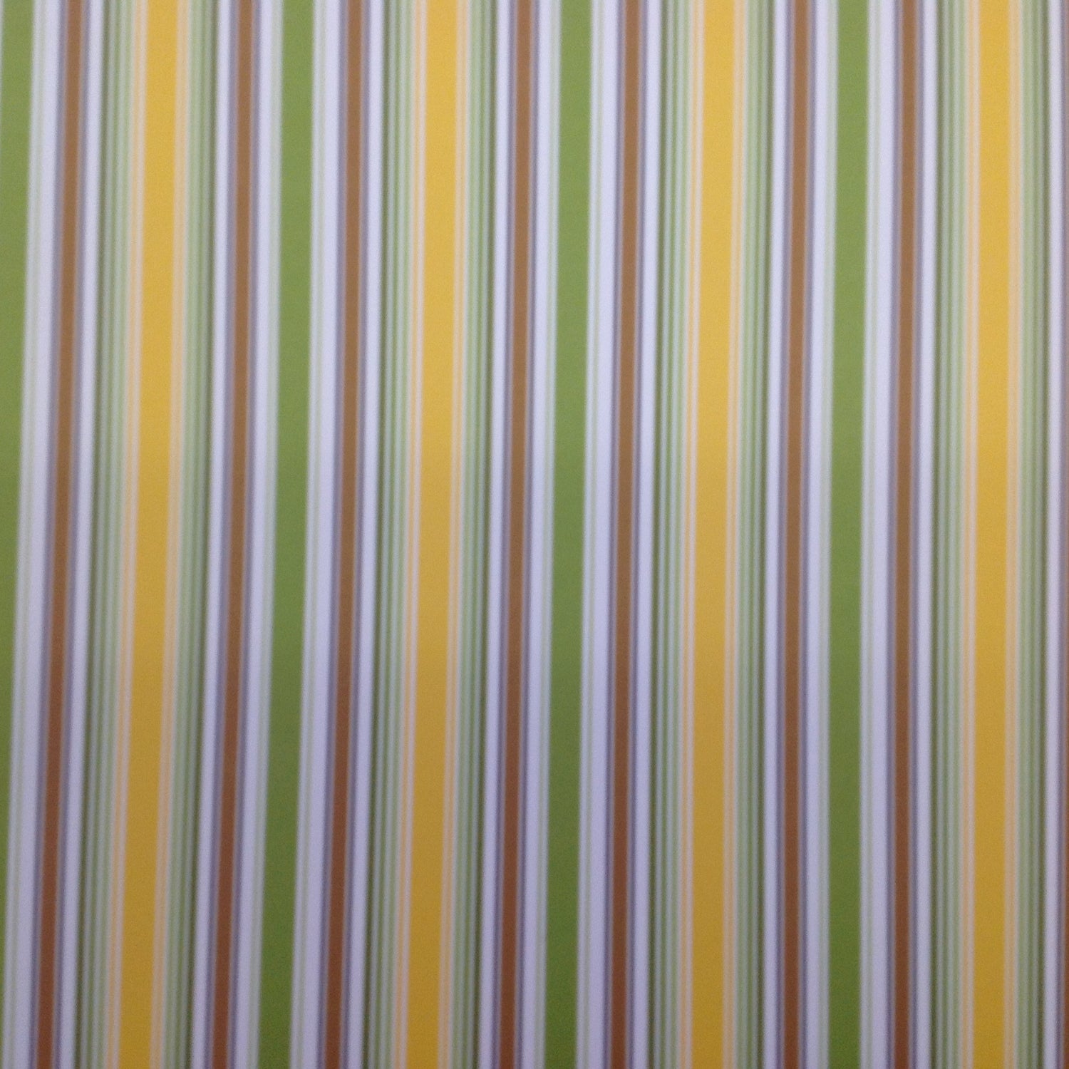 Queen &amp; Co WILD THINGS STRIPE 12x12 Scrapbook Paper - Scrapbook Kyandyland