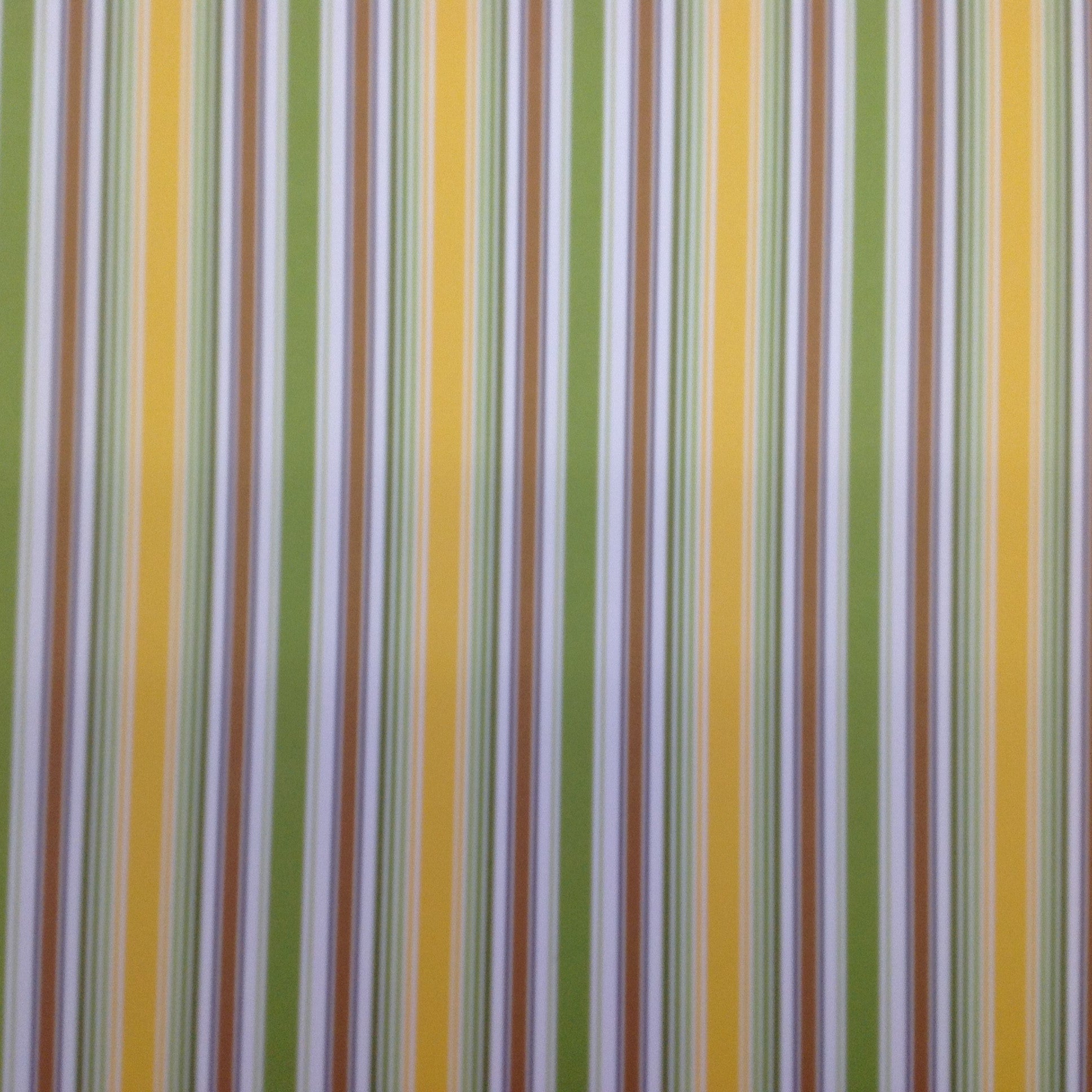 Queen &amp; Co WILD THINGS STRIPE 12x12 Scrapbook Paper - Scrapbook Kyandyland