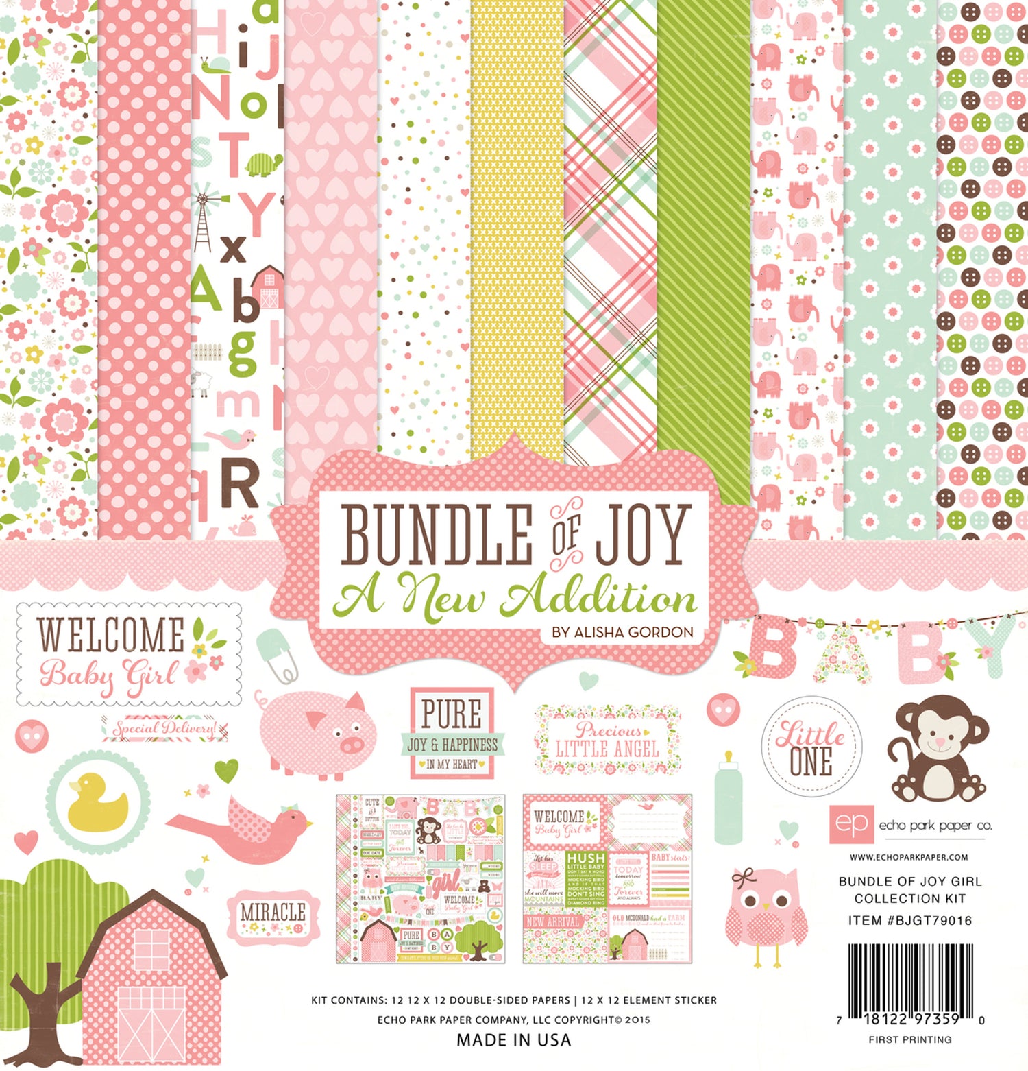 Echo Park Bundle of Joy NEW ADDITION GIRL 12&quot;X12&quot; Collection Kit