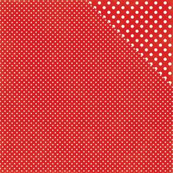 Echo Park DOTS &amp; STRIPES 12&quot;X12&quot; Scrapbook Paper - Scrapbook Kyandyland