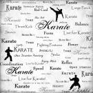 Scrapbook Customs KARATE LIVE FOR 1 Sports Sheet - Scrapbook Kyandyland