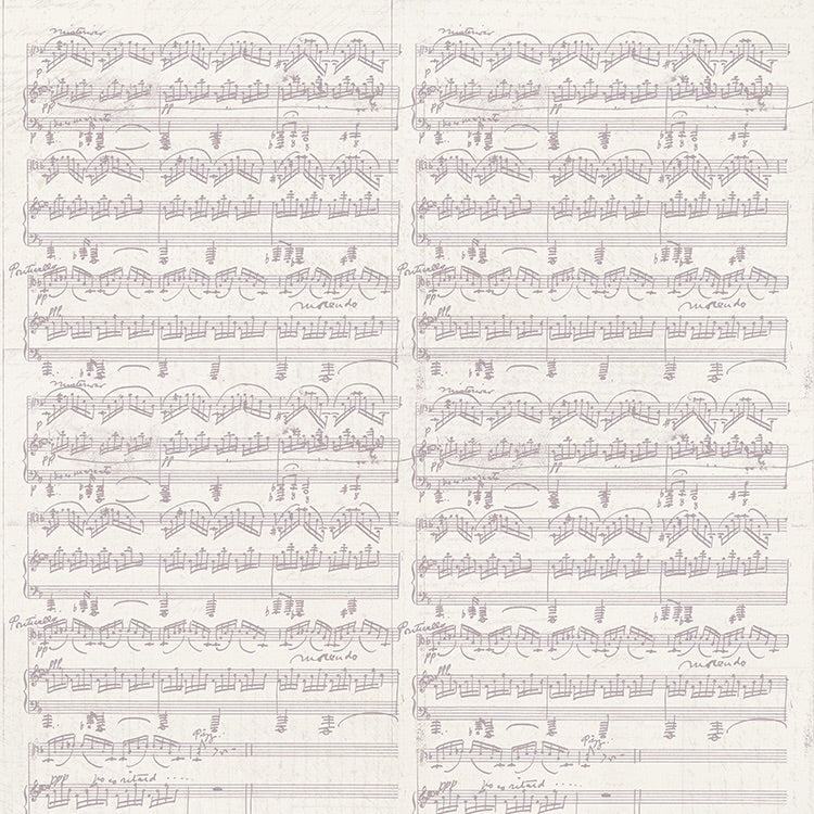 Kaisercraft Fairy Garden FAIRY DANCE 12"X12" Scrapbook Sheet