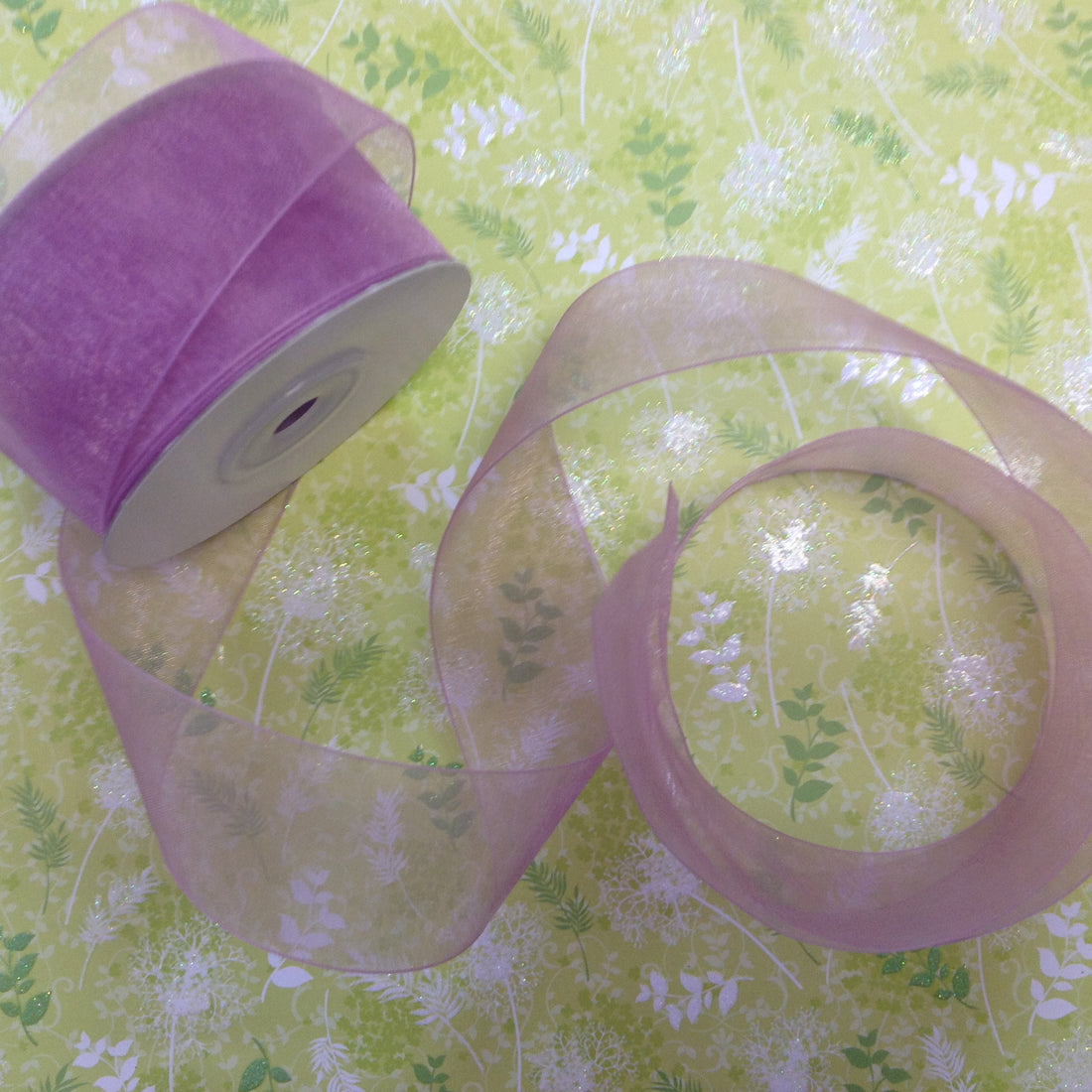 May Arts 1 1/2" Sheer Organza Ribbon 1 yard - Scrapbook Kyandyland