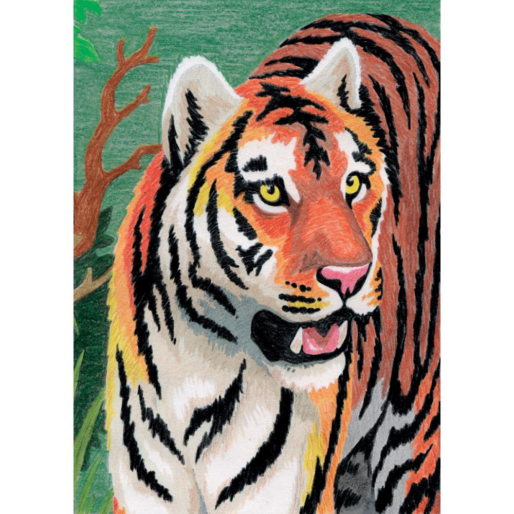 Royal Mini Color Pencil By Number JUNGLE TIGER