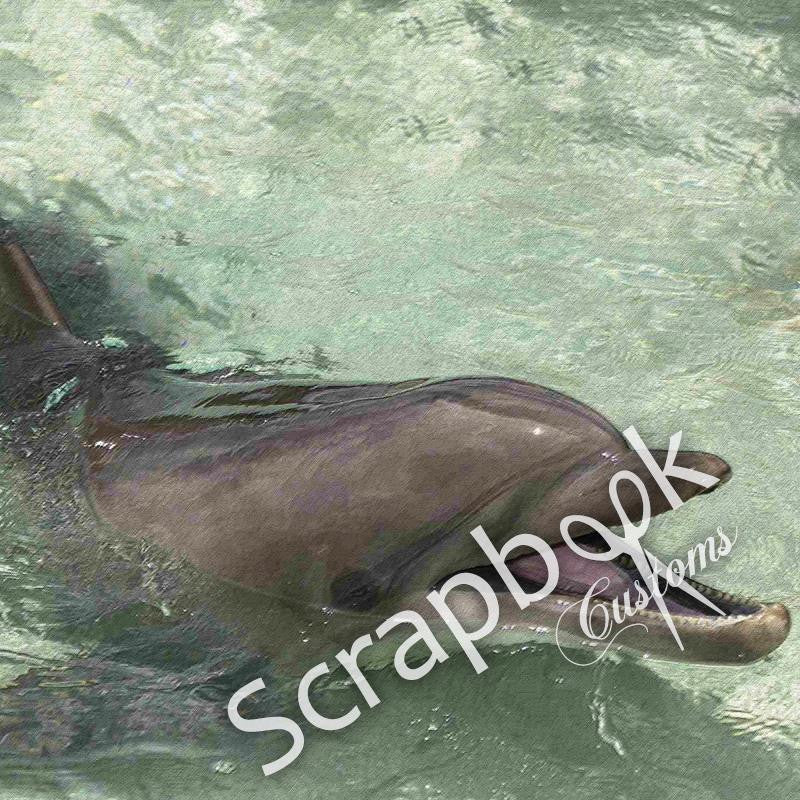 Scrapbook Customs DOLPHIN 12&quot;X12&quot; Scrapbook Paper