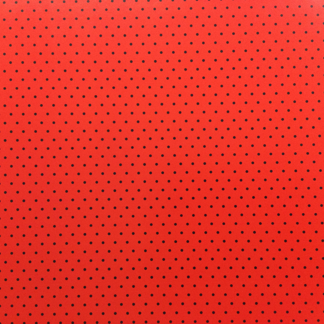 Polka Dots RED &amp; BLACK 12X12 Scrapbook Paper Scrapbooksrus